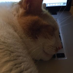 Meet your Posher, Dan